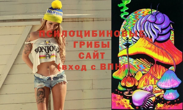 хмурый Алексин