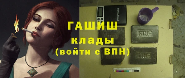 хмурый Алексин