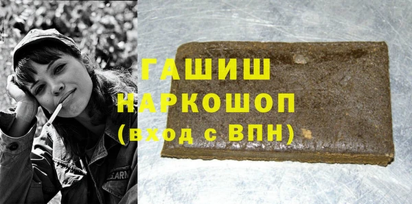 хмурый Алексин