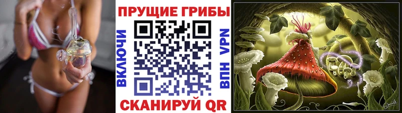 Галлюциногенные грибы мицелий  Орлов 