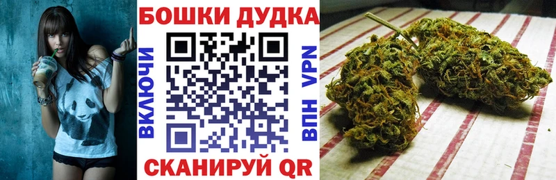 Шишки марихуана планчик  hydra ссылка  Орлов 